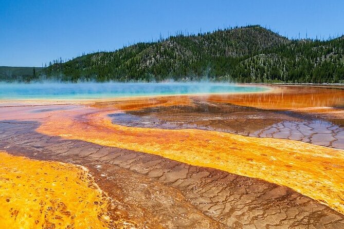 Best of Yellowstone Tour From Paradise Valley - Private Tour - Meeting and Pickup Details