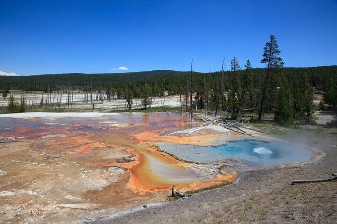Best of Yellowstone Tour From Paradise Valley - Private Tour - Private Tour Experience