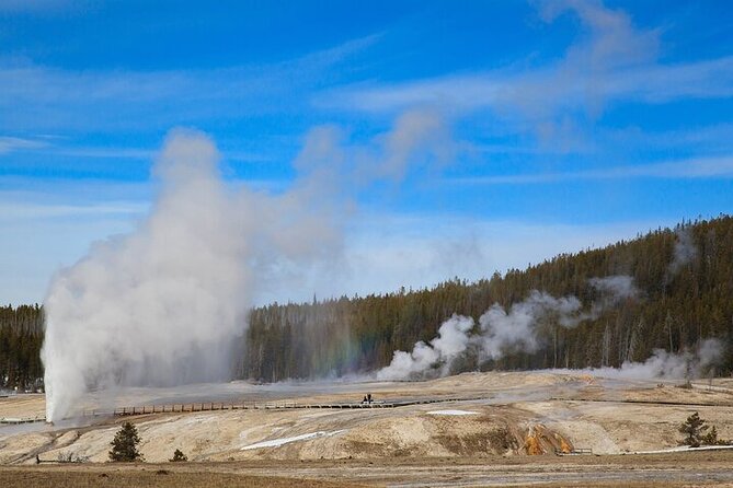 Best of Yellowstone Tour From Paradise Valley - Private Tour - Frequently Asked Questions