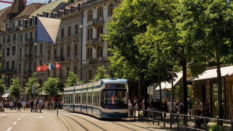 Best of Zurich: Private Walking Tour With a Local - Important Details and Recommendations