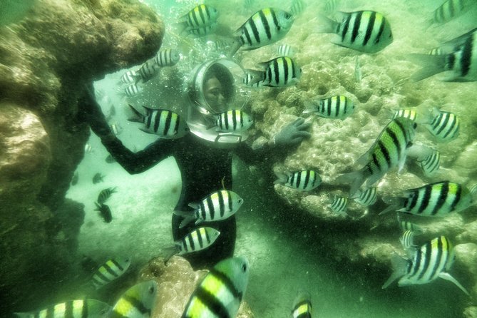 Best Package 3 in One Water Sport - Seawalker Underwater Experience