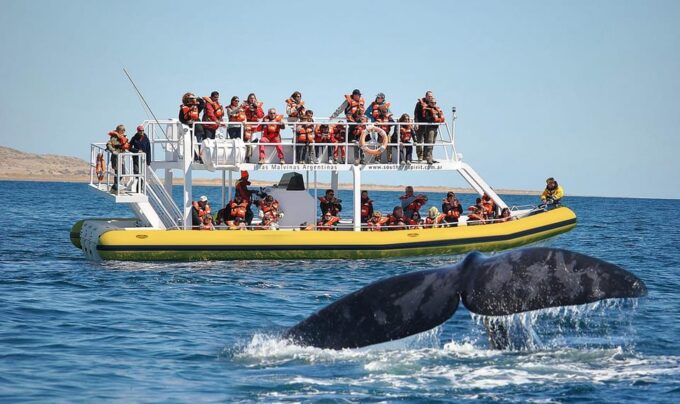 Best Peninsula Valdes With Whales Watching - Frequently Asked Questions