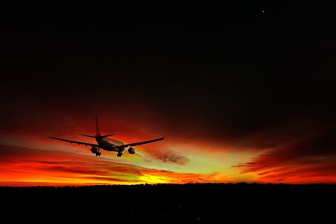 Best Private Arrival Transfer From Cairo Airport to Hotel - Pickup and Drop-off