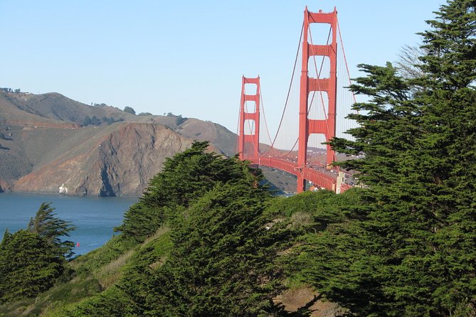 Best Private Custom Half-Day City Tour of San Francisco - Accessibility and Participation
