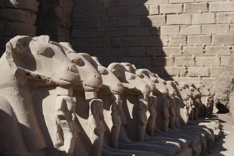 Best Private Full Day Visit East and West Bank Of Luxor - Transportation