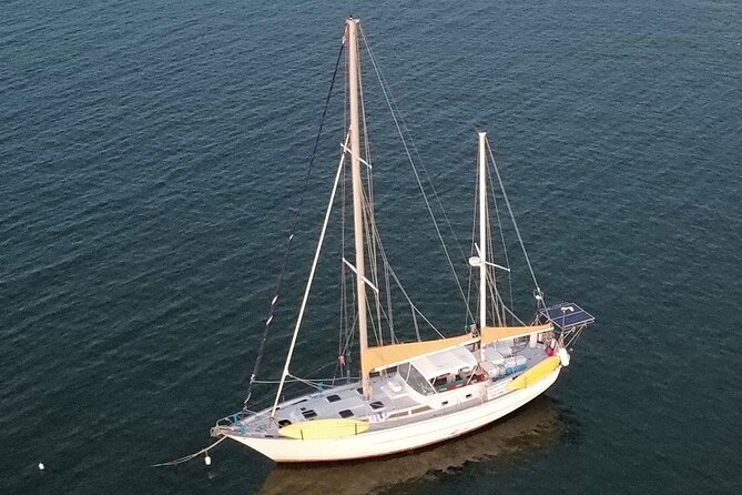 Best Private Luxury 4 Hour Sailing/Snorkeltour From Cruz Bay - Inclusions