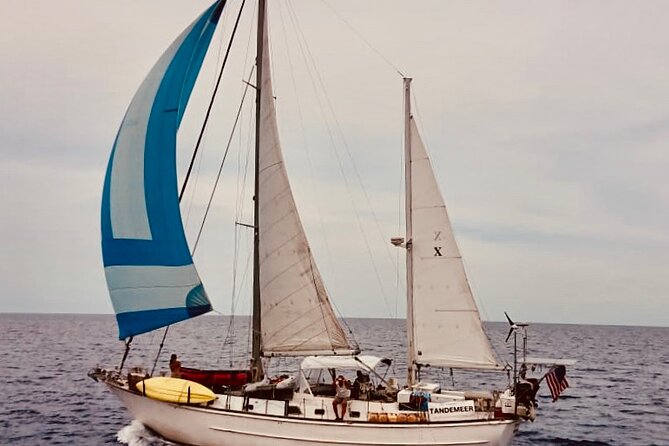 Best Private Luxury 4 Hour Sailing/Snorkeltour From Cruz Bay - Health and Accessibility
