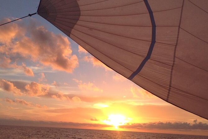 Best Private Luxury 4 Hour Sailing/Snorkeltour From Cruz Bay - Booking Your Stay