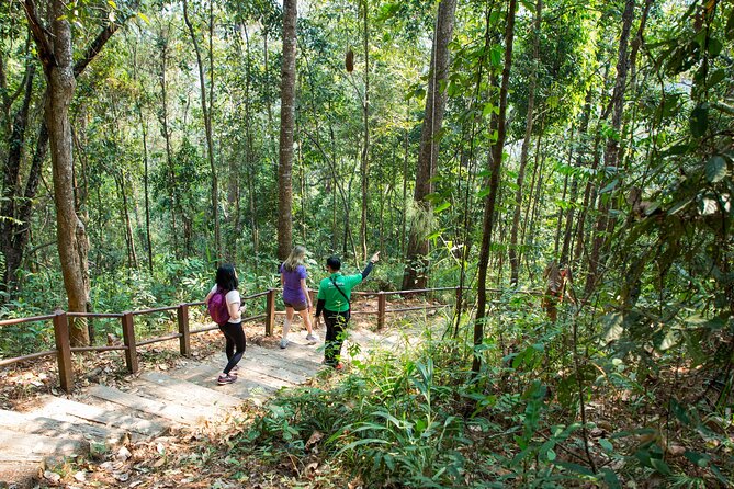 Best Seller: Doi Inthanon National Park Full Day Tour - Reviews