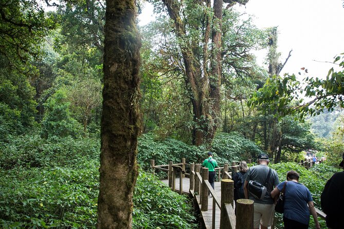 Best Seller: Doi Inthanon National Park Full Day Tour - Experiencing Karen Peoples Customs
