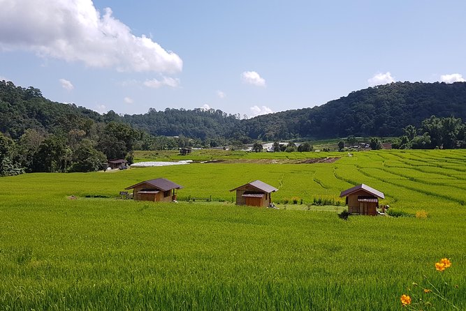 Best Seller! Doi Inthanon National Park Oneday Tour With the Highest Point - Guides and Group Dynamics