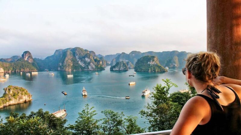 Best Seller Halong Bay Deluxe Day Tour: Lunch, Cave & Island - Important Information