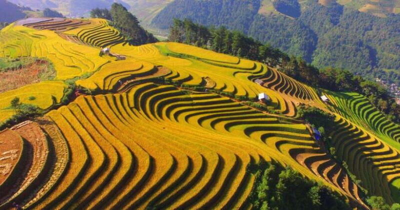 Best Seller Historical Discovery Tour of Dien Bien Phu - Included Services