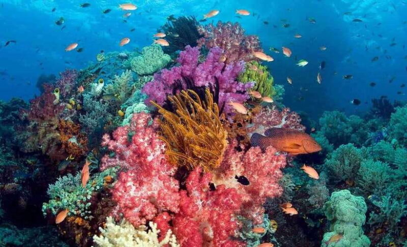 Best Seller Phu Quoc Snorkeling Three Islands by Boat Tour - Key Points