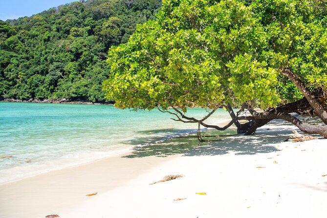 Best Seller - Surin Islands Snorkeling Trip From Khao Lak - Moken Sea Gypsy Village