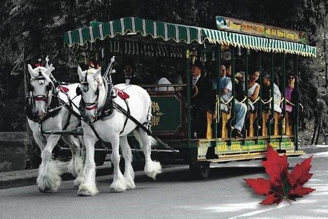 Best Selling Vancouver Sightseeing Tour 5 Hours(Private Setting) - Pickup Information