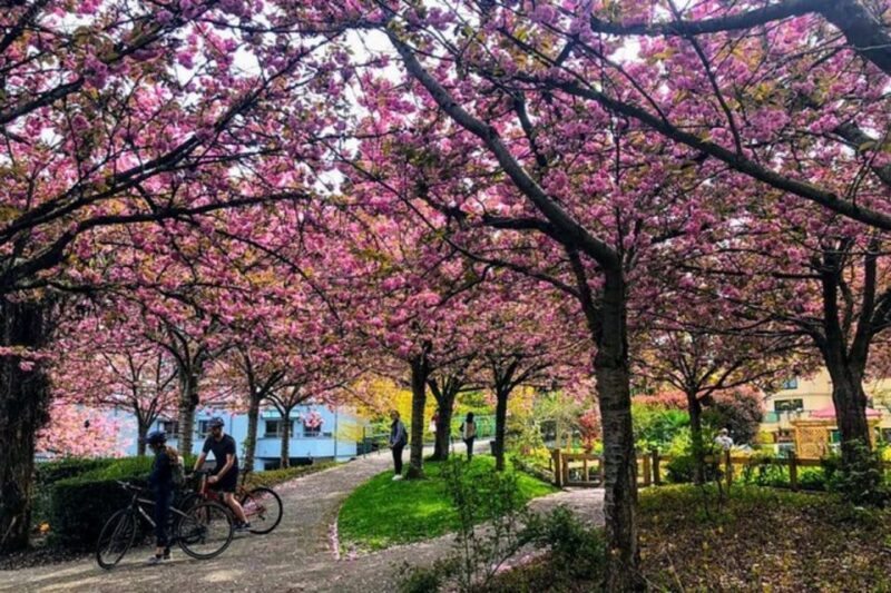 Best Selling Vancouver Sightseeing Tour - Cancellation Policy