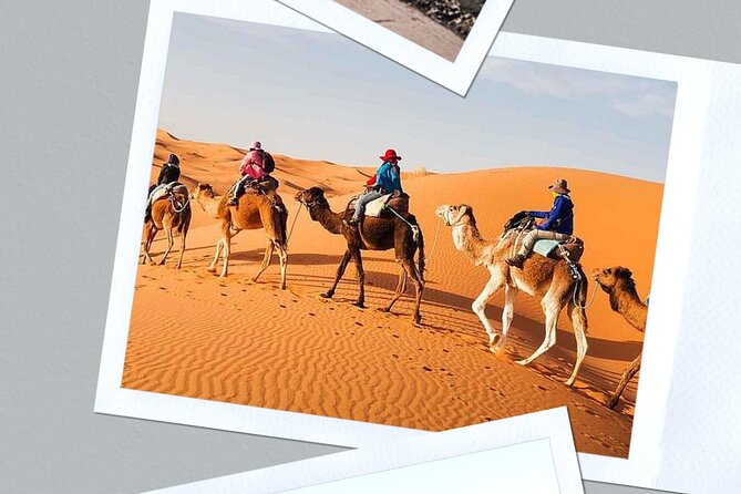 Best Shared 3 Days Fes to Marrakech Desert Tour - Tour Overview