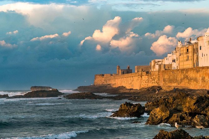 Best Shared Day Trip to Essaouira From Marrakech - Customer Feedback