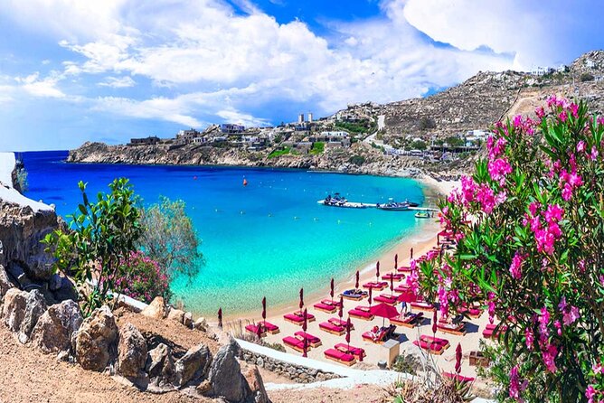 Best Shore Excursion Discovering Mykonos - Positive Customer Reviews and Highlights