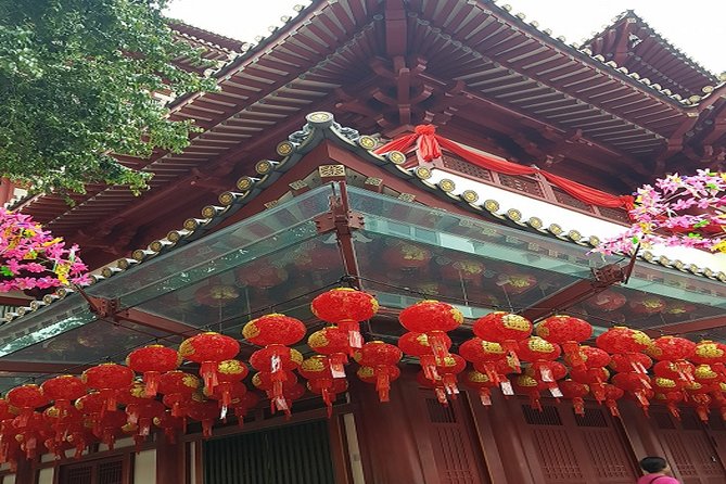 BEST Singapore Private City Tour by an Insider (1/2/3 X Full-Day) - Whats Included