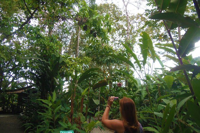 Best Sloths and Rainforest Arenal Guided Tour - Additional Information