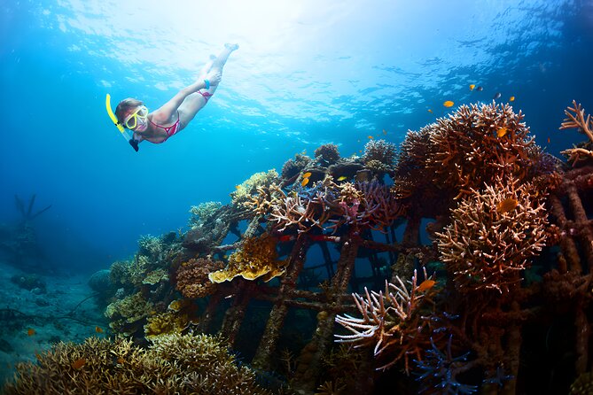Best Snorkeling Activity in Blue Lagoon Beach Bali - Positive Customer Experiences and Feedback