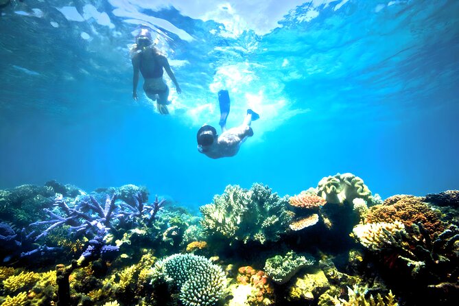 Best Snorkeling Activity in Blue Lagoon Beach Bali - Snorkeling Spots and Highlights