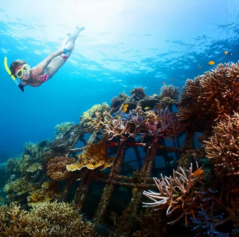 Best Snorkeling Adventure in Bali with Exciting Activities - What to Expect from the Bali Snorkeling Tour