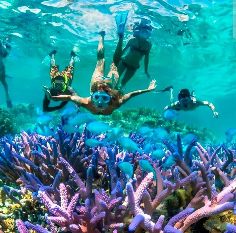 Best Snorkeling Adventure in Bali with Exciting Activities - Authenticity and Authentic Experiences: What Travelers Say