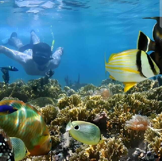 Best Snorkeling Adventure in Bali with Exciting Activities - FAQ