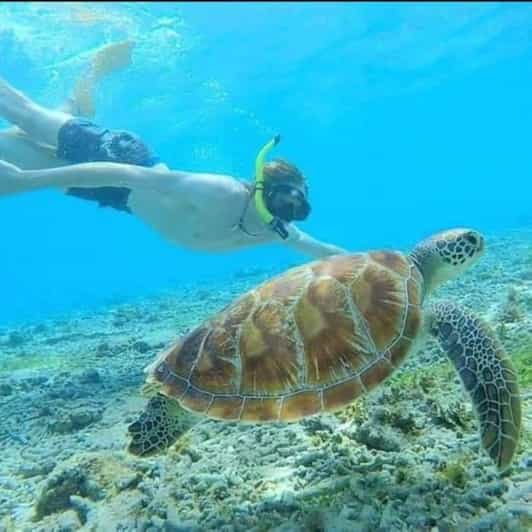 Best Snorkeling in Bali With Optional Activities & Tour - Itinerary and Transportation