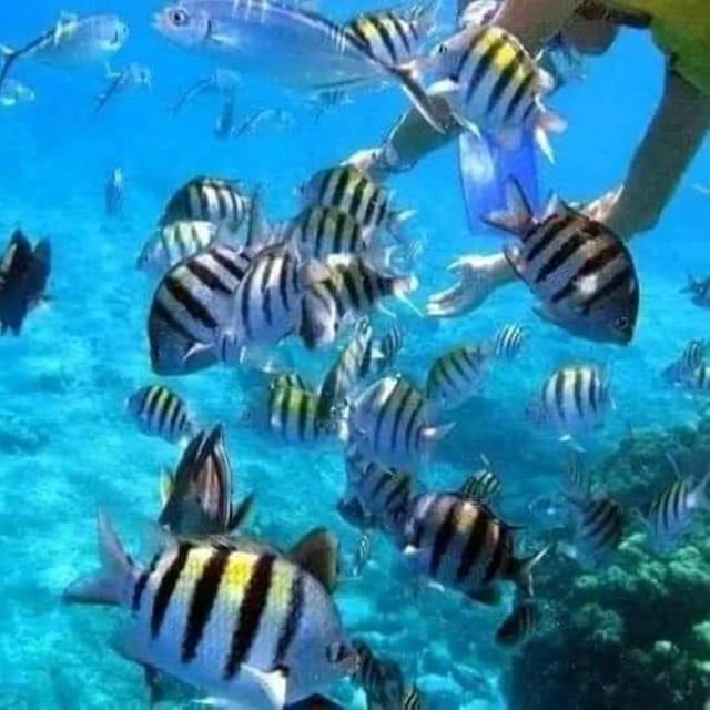 Best Snorkeling in Bali With Optional Activities & Tour - Included Amenities
