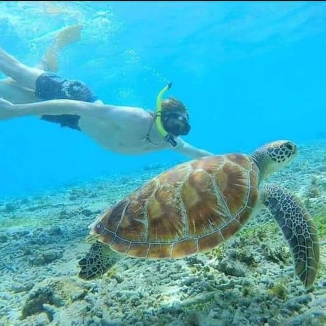 Best Snorkeling in Bali With Optional Activities & Tour - Customer Reviews and Experiences