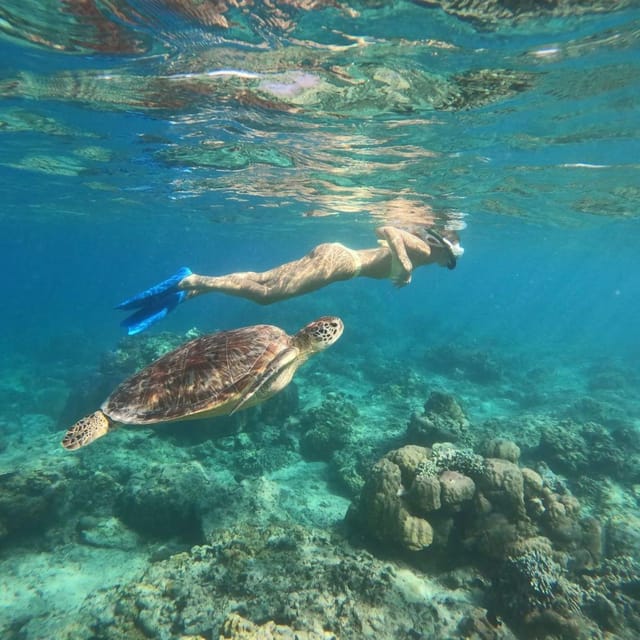 Best Snorkeling in Bali With Optional Activities & Tour - Snorkeling Locations and Marine Life