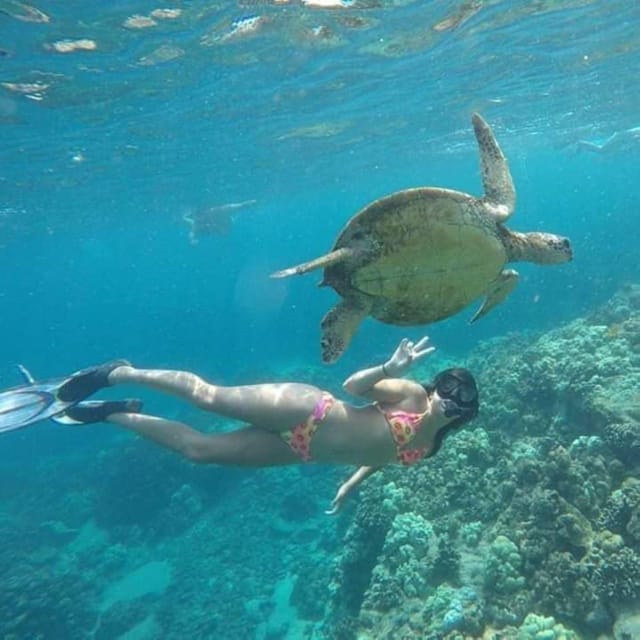 Best Snorkeling in Bali With Optional Activities & Tour - Pickup and Drop-off Locations