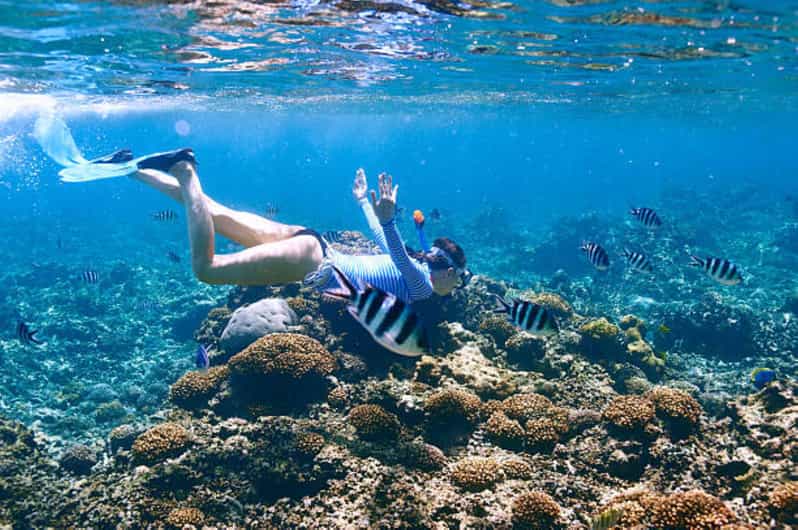 Best Snorkeling in Bali With Optional Tour & Activities - Key Points