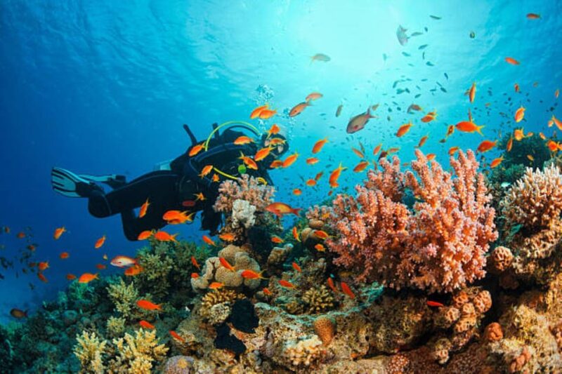 Best Snorkeling in Bali With Optional Tour & Activities - Pickup and Transfers