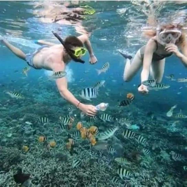 Best Snorkeling in Bali With Optional Tour & Activities - Customer Reviews and Ratings
