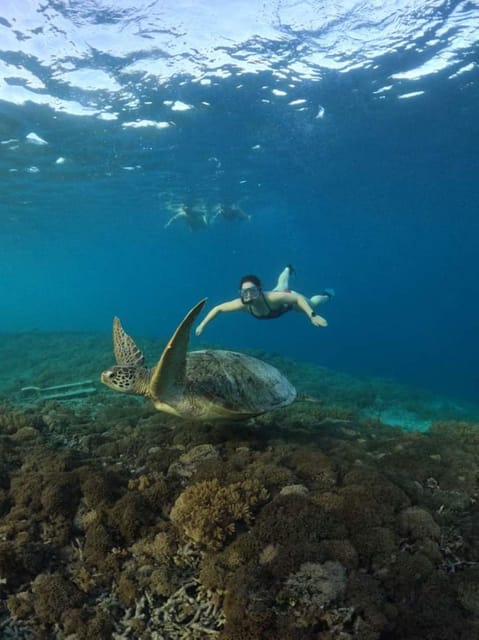 Best Snorkeling in Bali With Optional Tour & Activities - Frequently Asked Questions