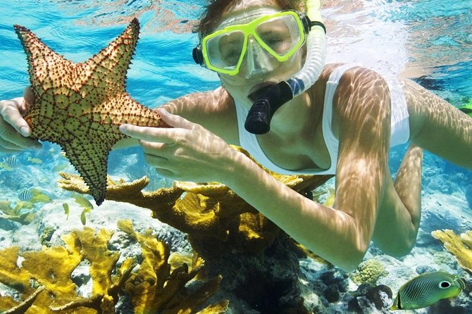 Best Snorkeling Trip at Blue Lagoon Bali - Tour Capacity and Accessibility