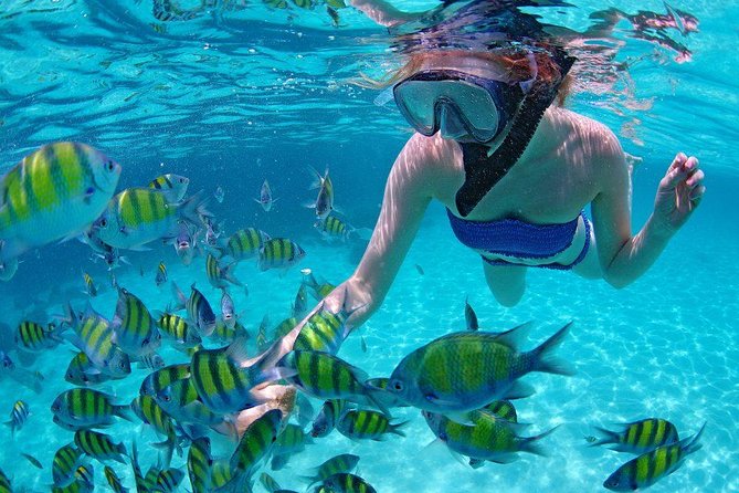 Best Snorkeling Trip at Blue Lagoon Bali - Traveler Feedback