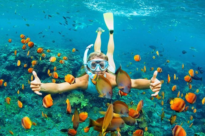 Best Snorkeling Trip at Blue Lagoon Bali - Tanjung Jepun Snorkeling Site