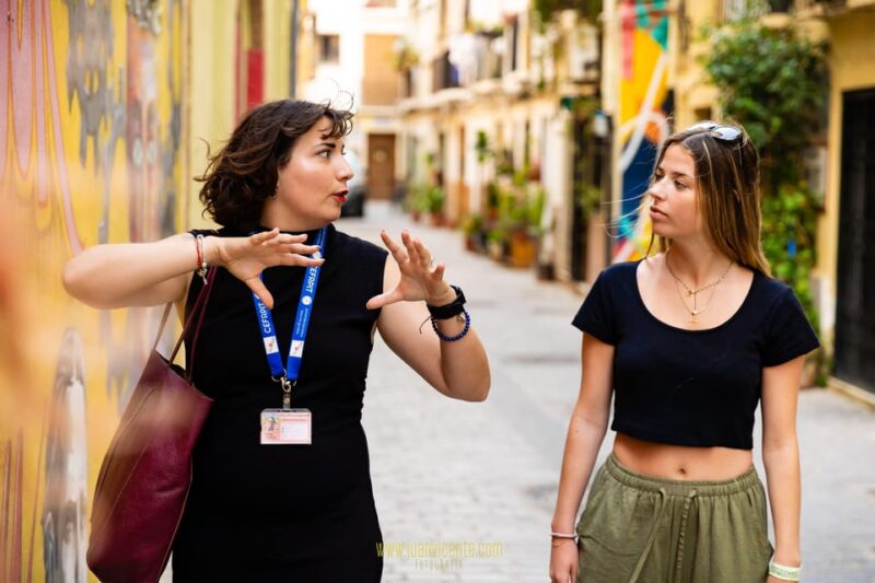 Best Street Art in Valencia Walking Tour - Experience Highlights