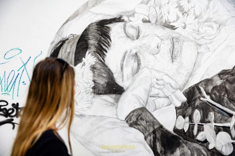 Best Street Art in Valencia Walking Tour - Inclusions