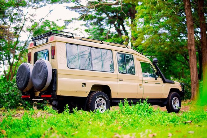 Best Tanzania Safari | 5 Days Tanzania Affordable Migration Safari - Community Involvement
