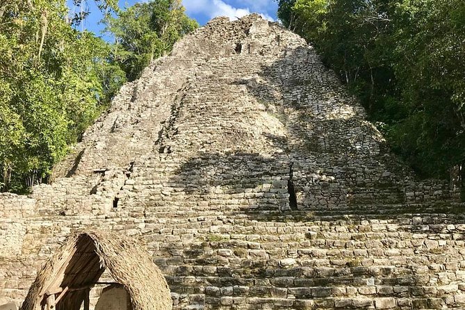 Best Tour to Tulum, Coba, Cenote and Playa Del Carmen - Traveler Feedback and Experiences
