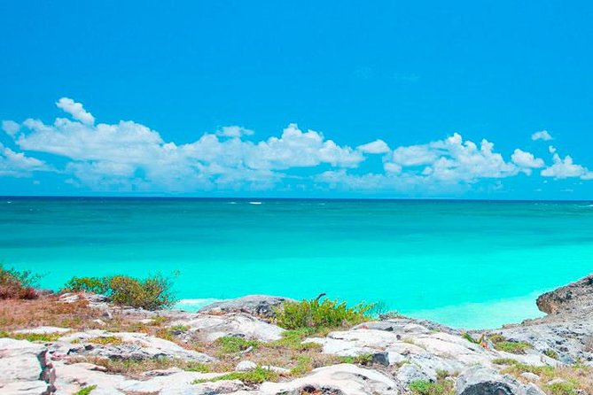 Best Tour to Tulum, Coba, Cenote and Playa Del Carmen - Making the Most of Your Visit