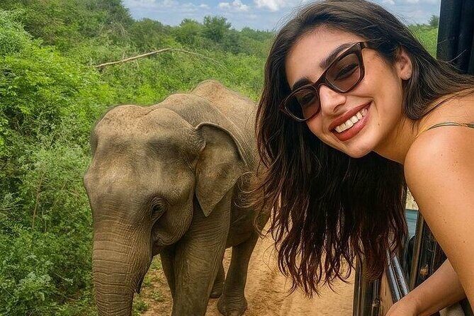Best Value Yala Safari: Spot Leopards, Elephants & Bears (Shared) - Key Points