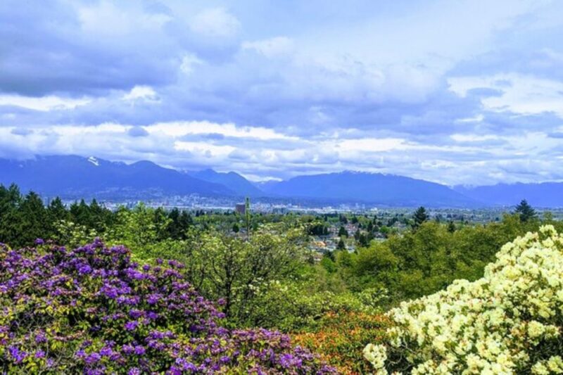 Best Vancouver Family Tour With Kids - Included Amenities